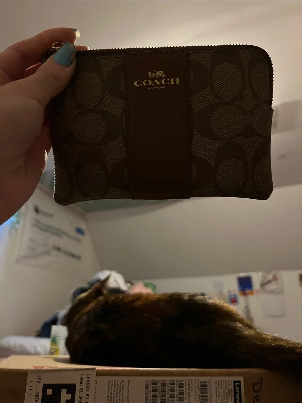 Coach Brown Signature Canvas Zip Pouch with Gold Logo